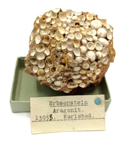 Erbsenstein Aragonit (Aragonite), Karlsbad, Allemagne.