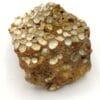 Erbsenstein Aragonit (Aragonite), Karlsbad, Allemagne.
