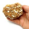 Erbsenstein Aragonit (Aragonite), Karlsbad, Allemagne.