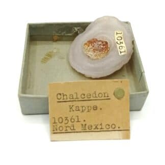 Chalcedon Kappe, Nord Mexico, Mexique.