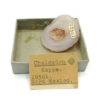 Chalcedon Kappe, Nord Mexico, Mexique.