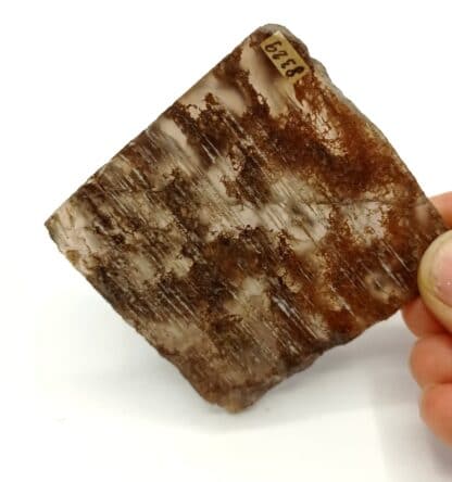 Moosachat (Agate mousse), Herkunft unbekannt (Origine inconnue).
