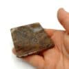 Moosachat (Agate mousse), Herkunft unbekannt (Origine inconnue).