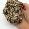 Siderit mit Galmei und Blende (Sidérite, Smithsonite, Blende), Hüttenberg, Allemagne.