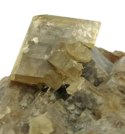 Baryte sur Fluorite (Fluorine), Marsanges, Langeac, Haute-Loire.