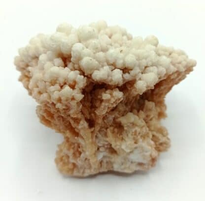 Aragonite, Touissit Bou Beker, Maroc.