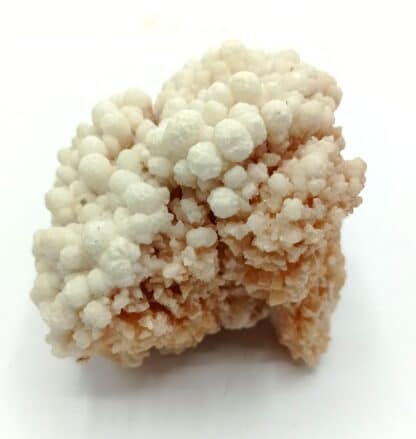 Aragonite, Touissit Bou Beker, Maroc.