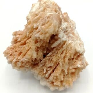 Aragonite, Touissit Bou Beker, Maroc.