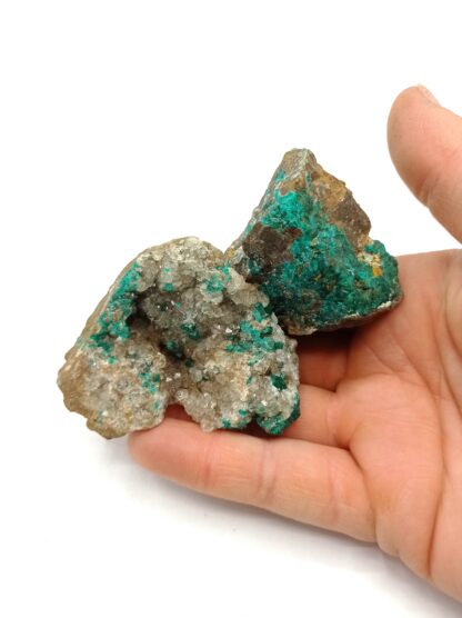 Dioptase, Mine de Mindouli, Congo.