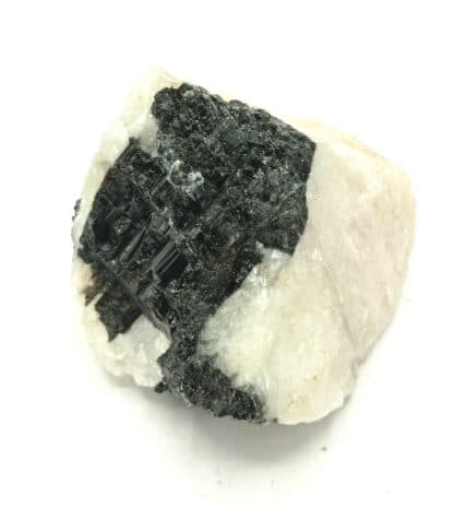 Schorl (Tourmaline), Beauchaud, Forez, Puy-de-Dôme, Auvergne.