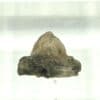 Cristal de Cérusite, Pranal, Pontgibaud, Puy-de-Dôme, Auvergne.