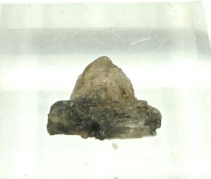Cristal de Cérusite, Pranal, Pontgibaud, Puy-de-Dôme, Auvergne.