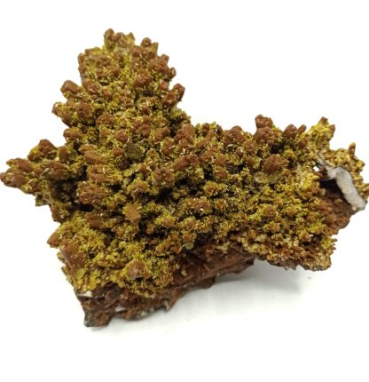 Pyromorphite double génération, Mine des Farges, Ussel, Corrèze, Limousin.