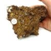 Pyromorphite double génération, Mine des Farges, Ussel, Corrèze, Limousin.