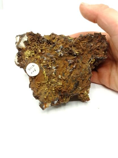 Pyromorphite double génération, Mine des Farges, Ussel, Corrèze, Limousin.