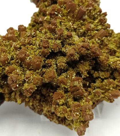 Pyromorphite double génération, Mine des Farges, Ussel, Corrèze, Limousin.