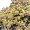 Pyromorphite double génération, Mine des Farges, Ussel, Corrèze, Limousin.