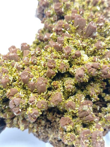 Pyromorphite double génération, Mine des Farges, Ussel, Corrèze, Limousin.