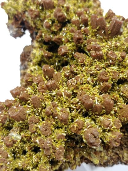 Pyromorphite double génération, Mine des Farges, Ussel, Corrèze, Limousin.