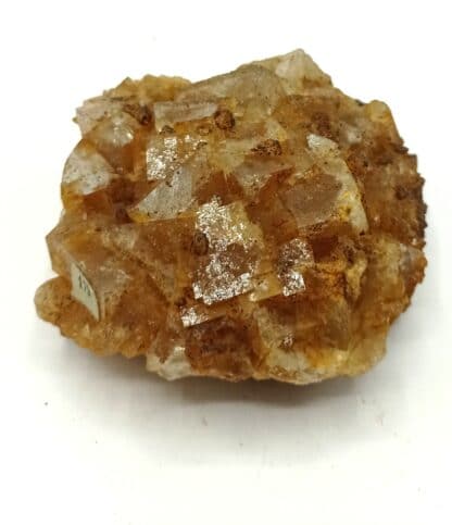 Fluorite (Fluorine) et Quartz, Mine Sauberg, Ehrenfriedersdorf, Saxe, Allemagne.