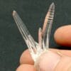 Quartz muzo, Vaulnaveys, Vizille, Isère.