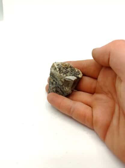 Pyrit (Pyrite) bunt ausserord. Schön, découverte Léo Przibram.