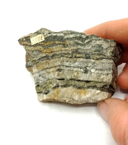 Schalenblende, Horhausen, Nassau, Allemagne.