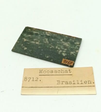 Moosachat (Agate mousse), Brésil.