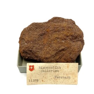 Eisenoolith Callovien (Oolithe ferrugineuse), Herznach, Suisse.