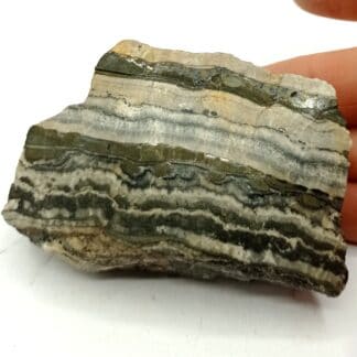 Schalenblende, Horhausen, Nassau, Allemagne.