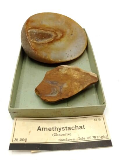 Amethystachat (Agate Améthyste) (Chaonite), Sandown, Île de Wight, Royaume-Uni.