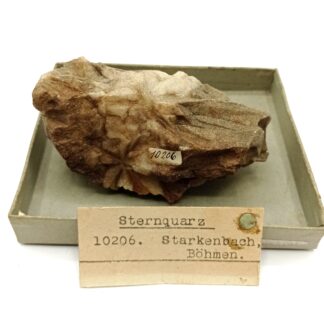 Sternquartz (Quartz étoilé), Starkenbach, Böhmen, Tchéquie.