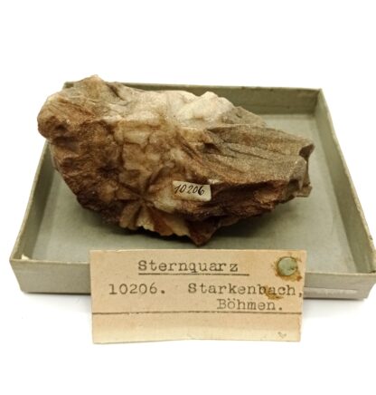 Sternquartz (Quartz étoilé), Starkenbach, Böhmen, Tchéquie.