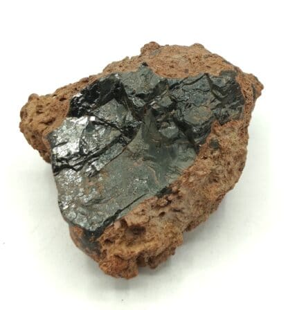 Hornblende basaltique, Face Sud du Puy de Corent, Puy-de-Dôme, Auvergne.