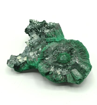 Malachite fibreuse, Katanga, République Démocratique du Congo.