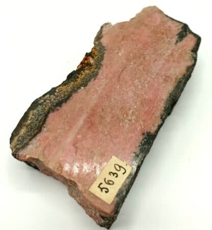 Rhodonit (Rhodonite) manganifère, Jekatarinenburg, Ural (Oural), Russie.