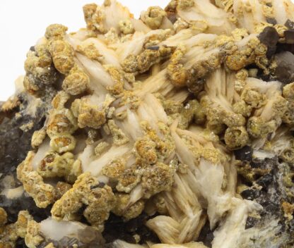 Pyromorphite, baryte et Quartz, Les Farges, Ussel, Corrèze.