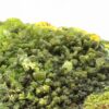 Autunite, Kerler, Lignol, Morbihan, Bretagne.