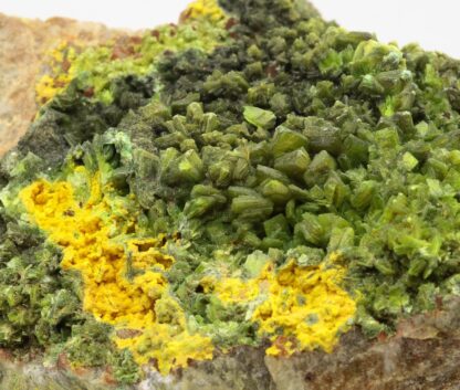 Autunite, Kerler, Lignol, Morbihan, Bretagne.