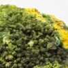 Autunite, Kerler, Lignol, Morbihan, Bretagne.
