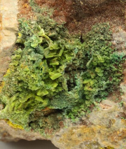 Autunite, Kerler, Lignol, Morbihan, Bretagne.