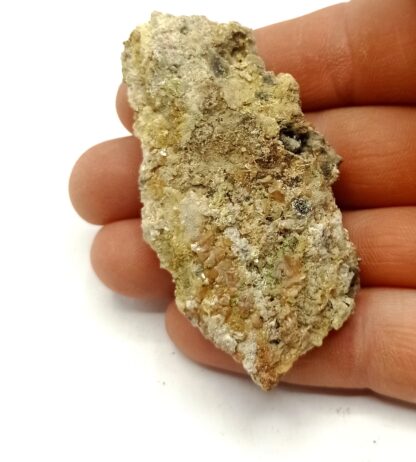 Stolzite et Pyromorphite, Giromagny, Territoire de Belfort, Franche-Comté.