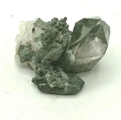 Quartz chloriteux, Plan du Lac, Oisans, Isère.