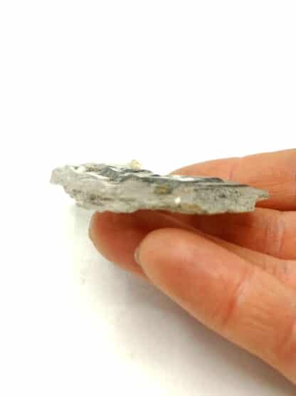 Calcite Papier Spath, Combe de la Selle, Oisans, Isère.