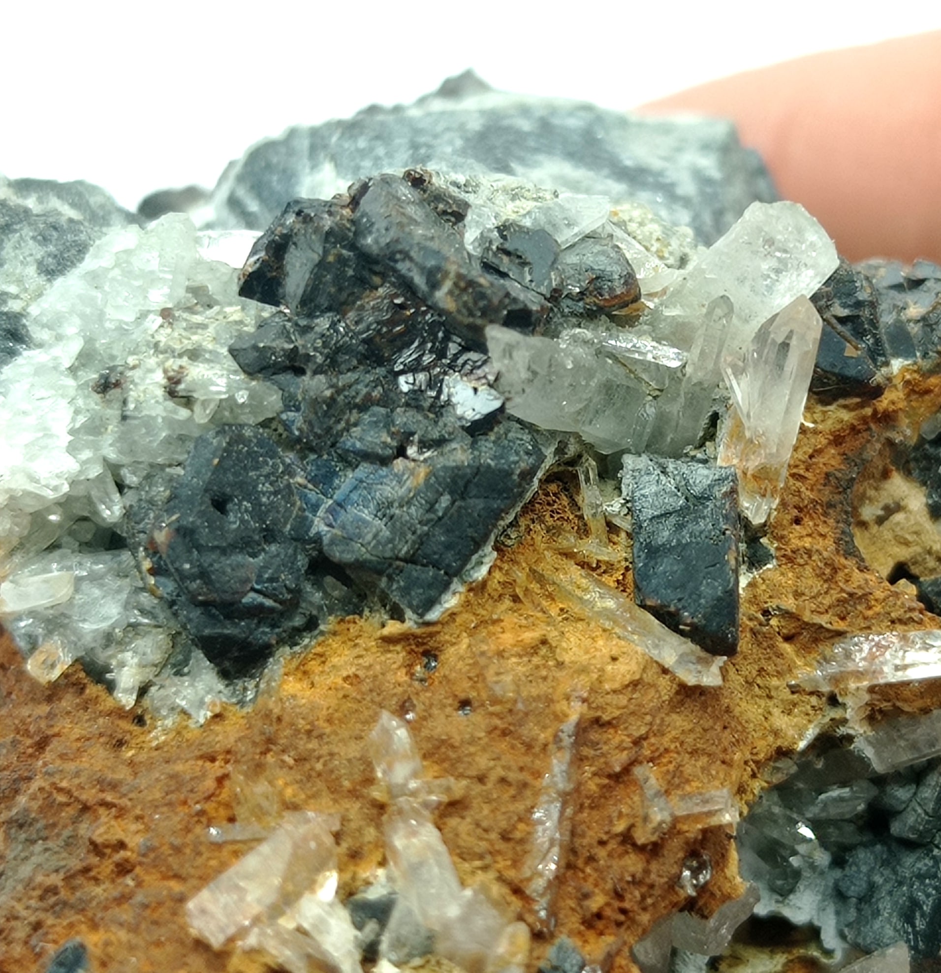 Sphalérite (Blende), Quartz et Sidérite, Tunnel des Chavants, Les Houches, Haute-Savoie.