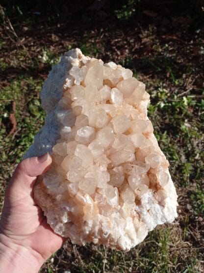 Plaque de cristaux de Calcite, Alsace.