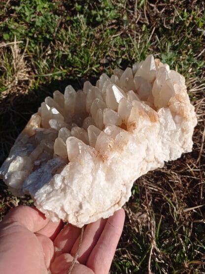 Plaque de cristaux de Calcite, Alsace.