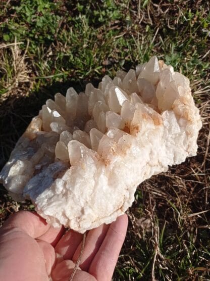 Plaque de cristaux de Calcite, Alsace.