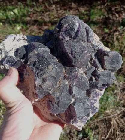 Gros cristaux de Fluorine, Bois-le-Duc, Foisches, Pointe de Givet, Ardennes.