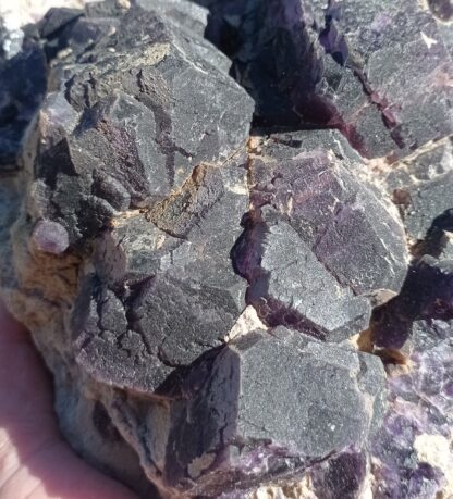 Gros cristaux de Fluorine, Bois-le-Duc, Foisches, Pointe de Givet, Ardennes. – Image 2
